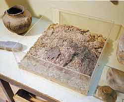 Самый древний из найденных в Украине мешков с зерном: ему свыше 4000 лет